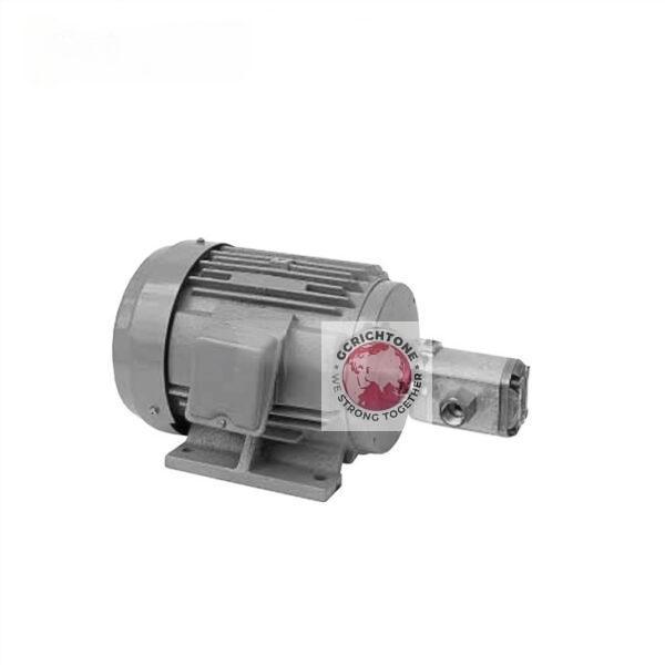 DAIKIN vane pump DS11P DS12P DS13P DS14P